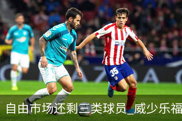 自由市场还剩三类球员 威少乐福领衔失业大军？